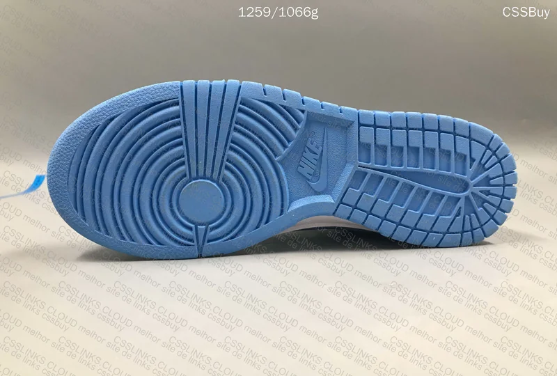 Dunk University Blue 5