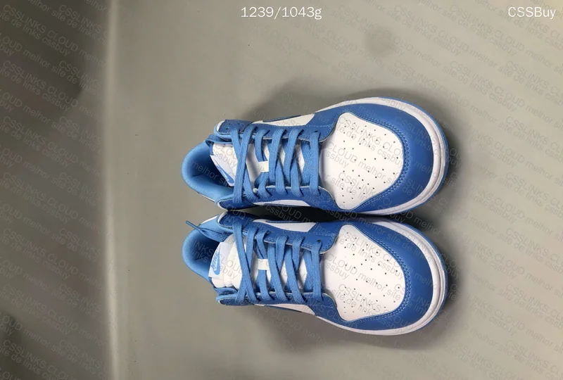 Dunk University Blue