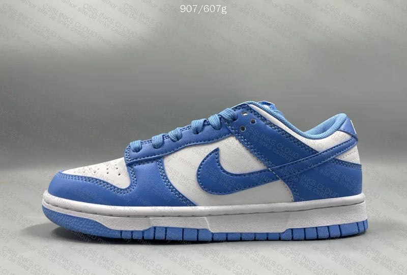 Dunk University Blue 5