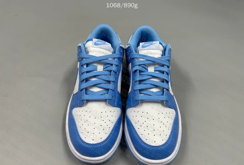 Dunk University Blue 5
