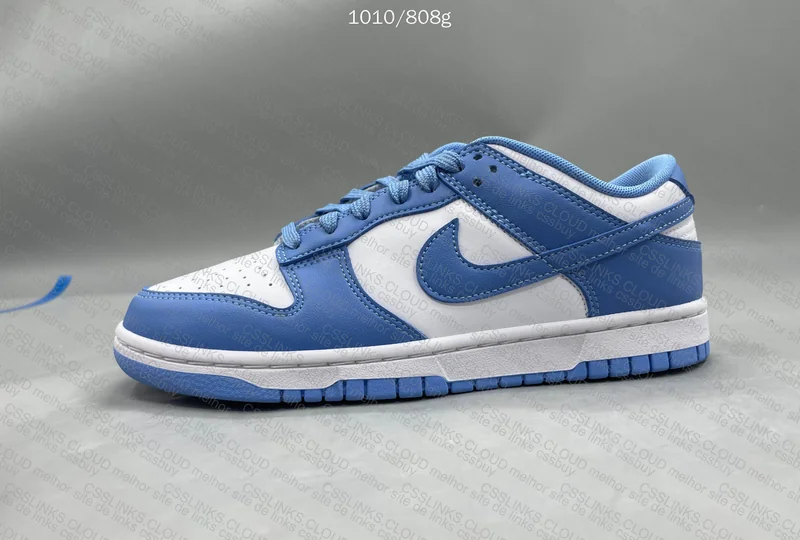 Dunk University Blue 5