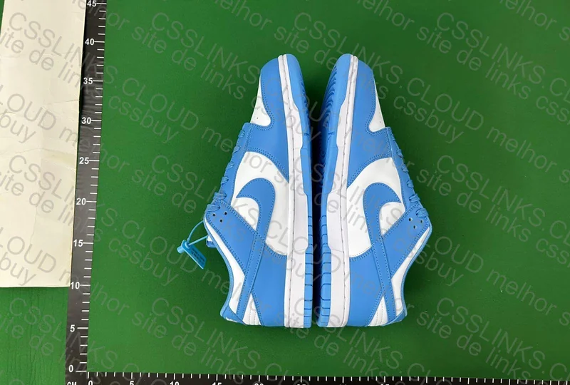 Dunk university blue 5