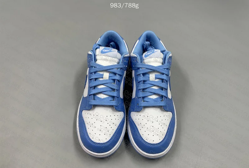 Dunk University Blue (Gl?)