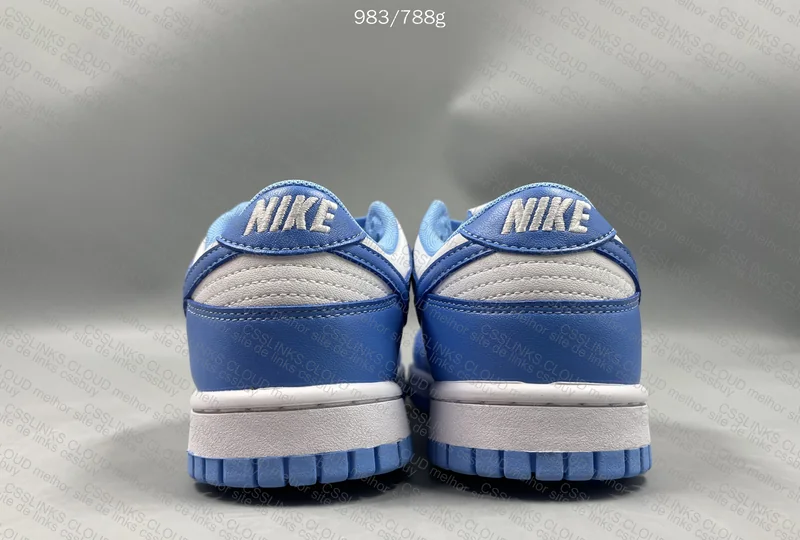 Dunk University Blue (Gl?) 2