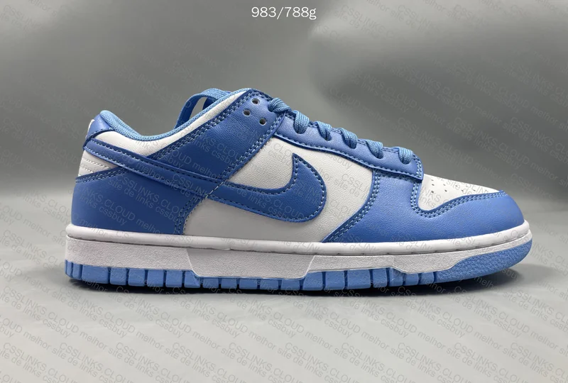Dunk University Blue (Gl?) 3