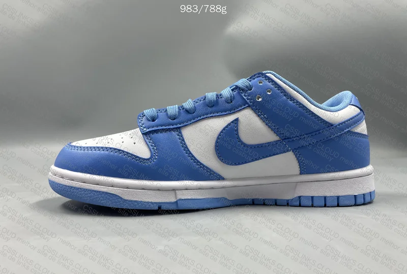Dunk University Blue (Gl?) 5