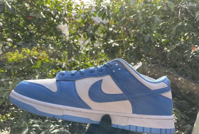 Dunk University Blue - Natural Lighting 2