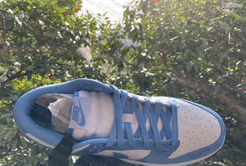 Dunk University Blue - Natural Lighting 4