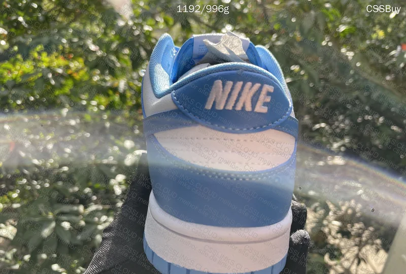 Dunk University Blue - Natural Lighting 5