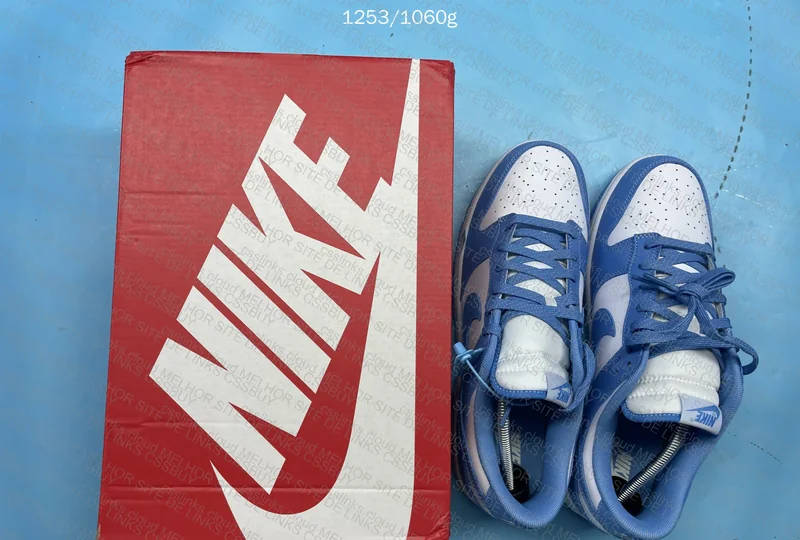Dunk University Blue (M)