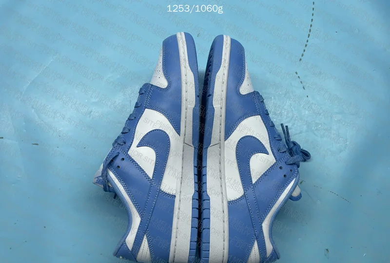 Dunk University Blue (M) 5