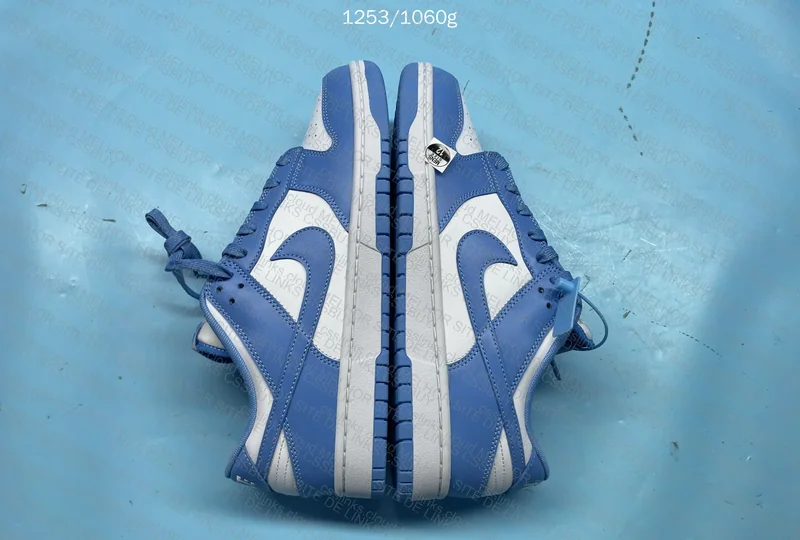 Dunk University Blue (M) 6
