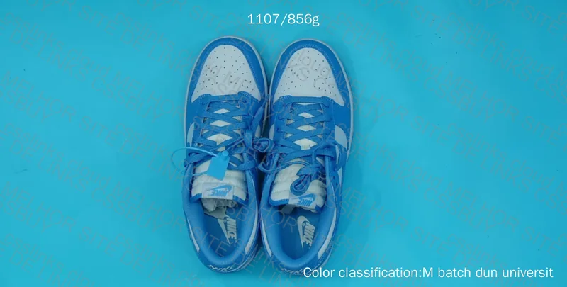 Dunk University Blue M Batch