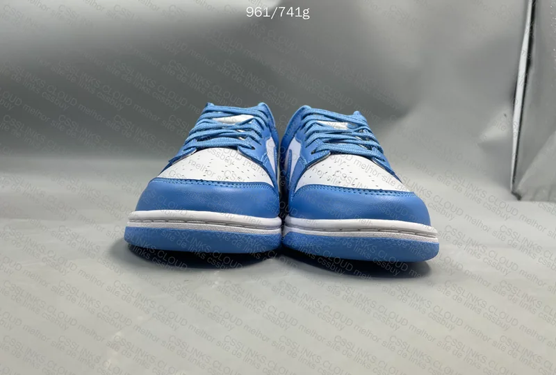 Dunk University Blue (sale) 5