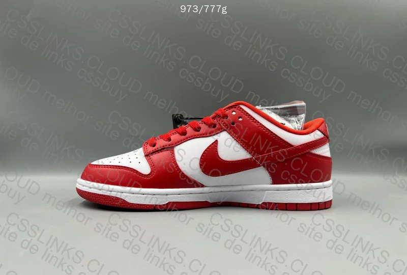 Dunk University Red 5