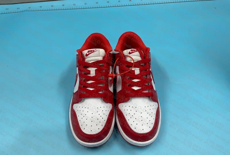 Dunk University Red 5