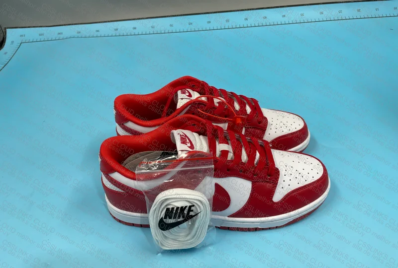 Dunk University Red 6