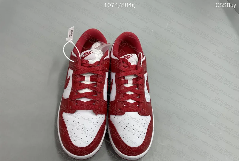 Dunk University Red from Dad 2