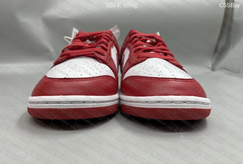 Dunk University Red from Dad 3