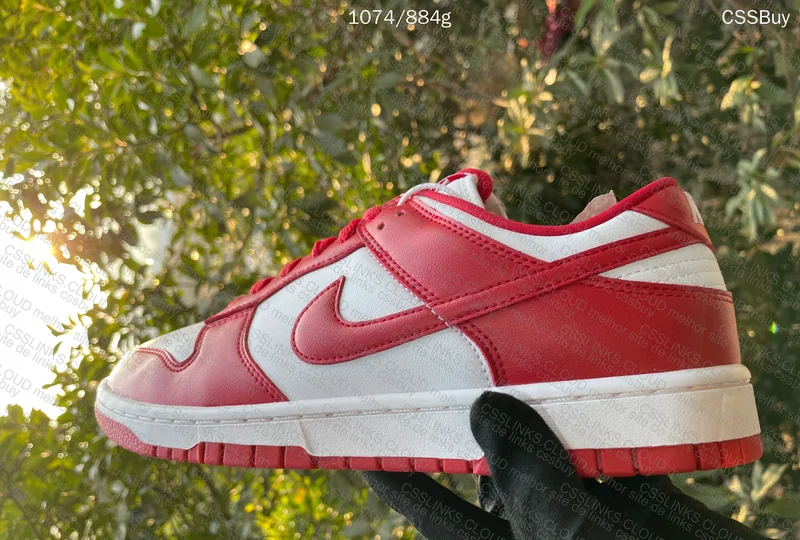 Dunk University Red from Dad in Natural Light