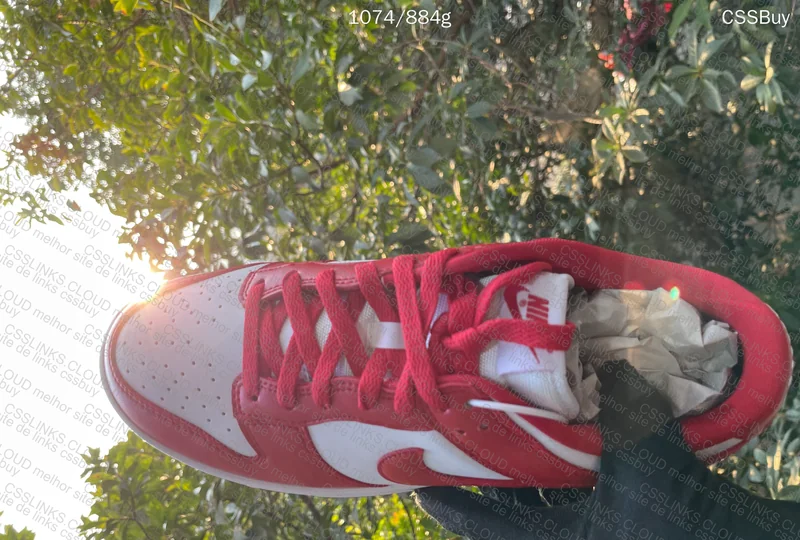 Dunk University Red from Dad in Natural Light 2