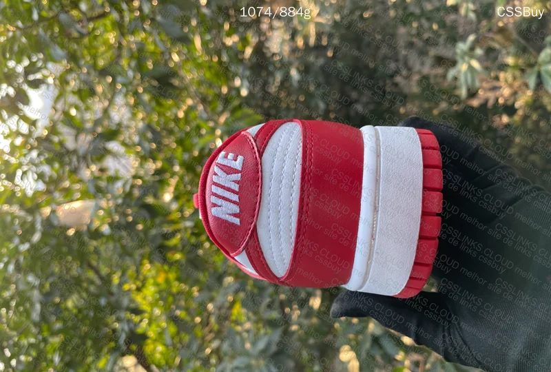 Dunk University Red from Dad in Natural Light 3