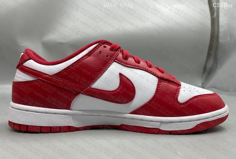 Dunk University Red from Dad in Natural Light 7