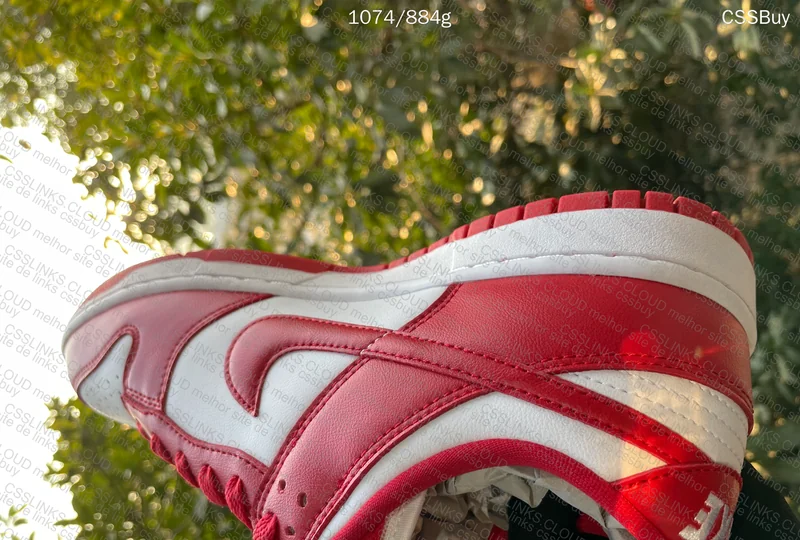 Dunk University Red from Dad in Natural Light 8
