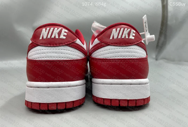 Dunk University Red from Dad in Natural Light 9