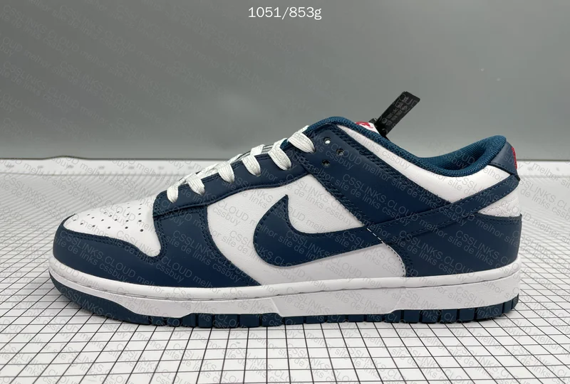 Dunk Valeria Blue 6