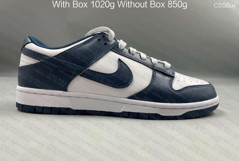 Dunk Valerian Blue 3