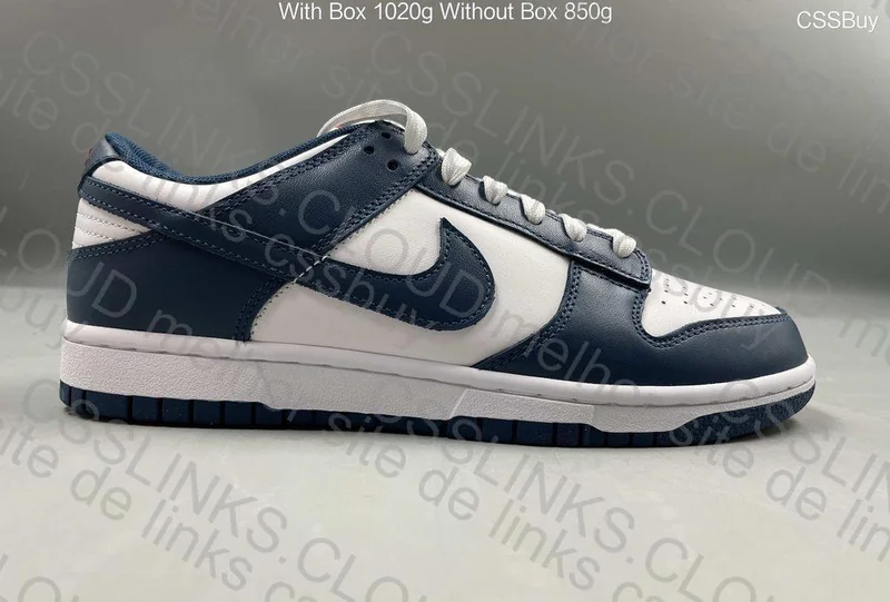 Dunk Valerian Blue 4