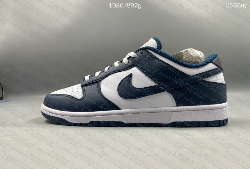 dunk valerian blue 2