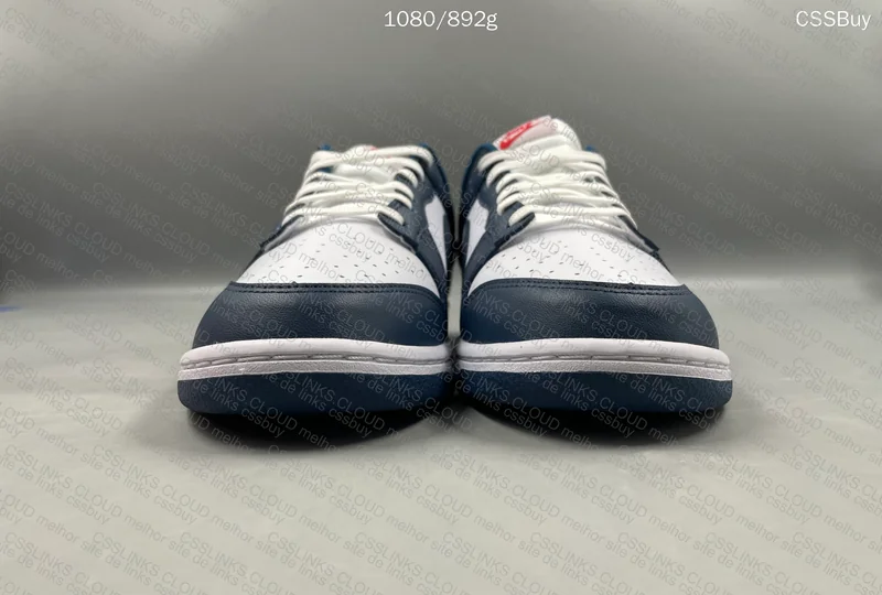 dunk valerian blue 5