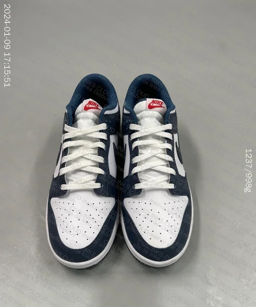 Dunk Valerian Blue 3