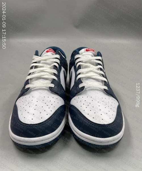 Dunk Valerian Blue 5