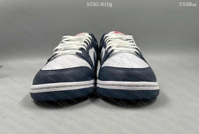 Dunk Valerian Blue 2