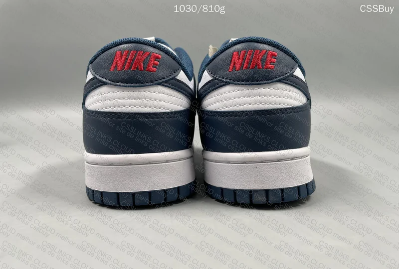 Dunk Valerian Blue 3
