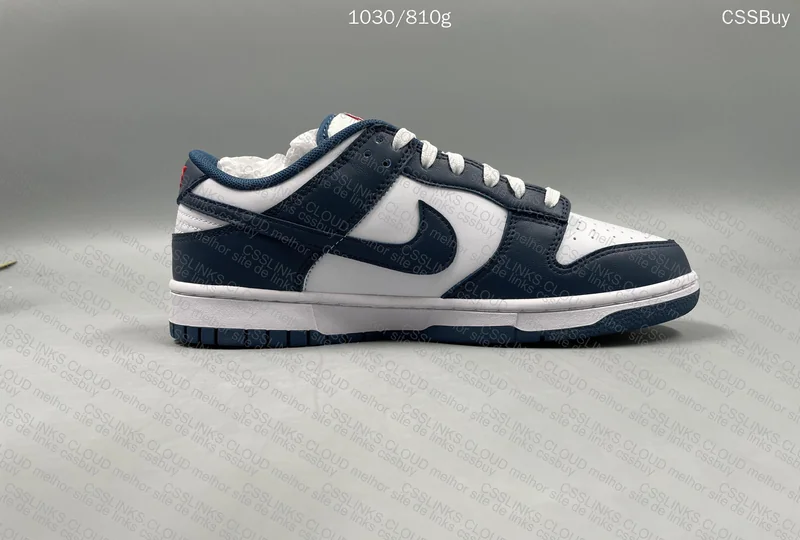 Dunk Valerian Blue 5