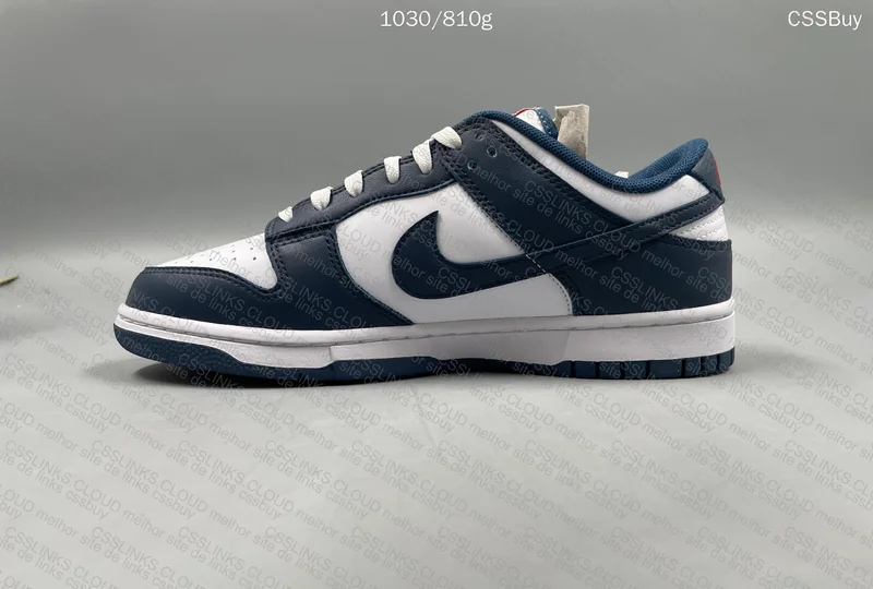 Dunk Valerian Blue 8