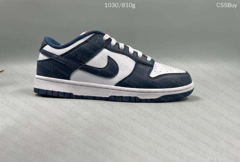 Dunk Valerian Blue 9