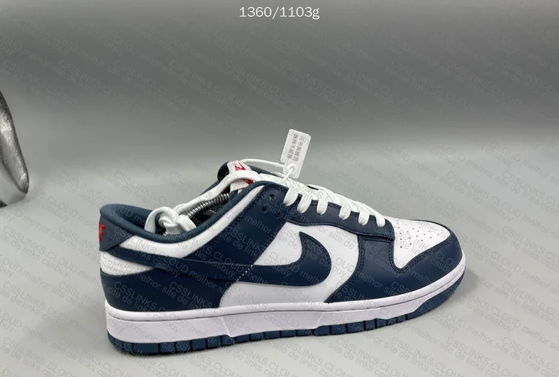 DUNK Valerian Blue 4
