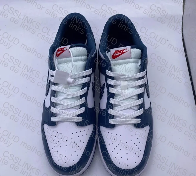 DUNK Valerian Blue 8