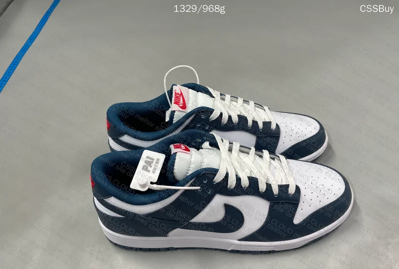 Dunk Valerian Blue (1ª Compra) Ta GL?? 3