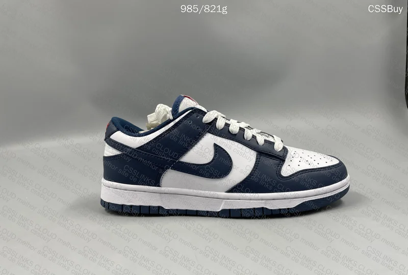 dunk valerian blue gl? 4
