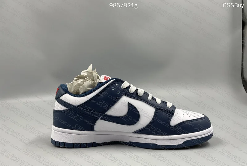 dunk valerian blue gl? 8