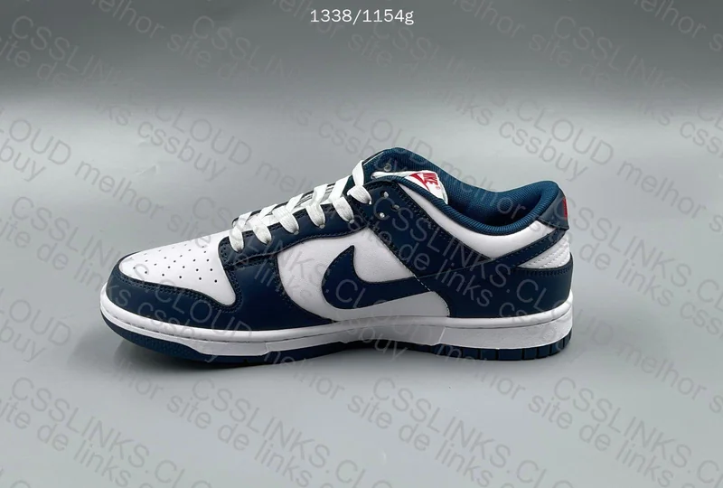 DUNK VALERIAN BLUE NEW VT 3