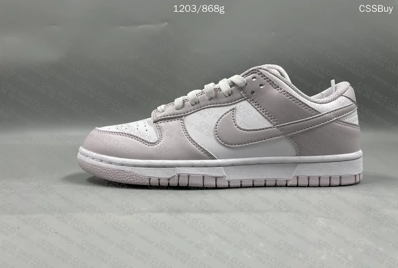 Dunk Venice 5