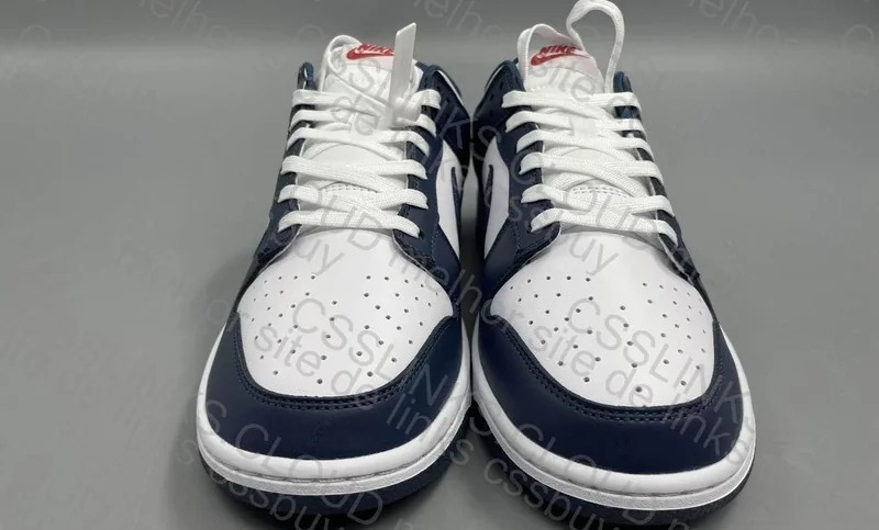 dunk vintage navy 3