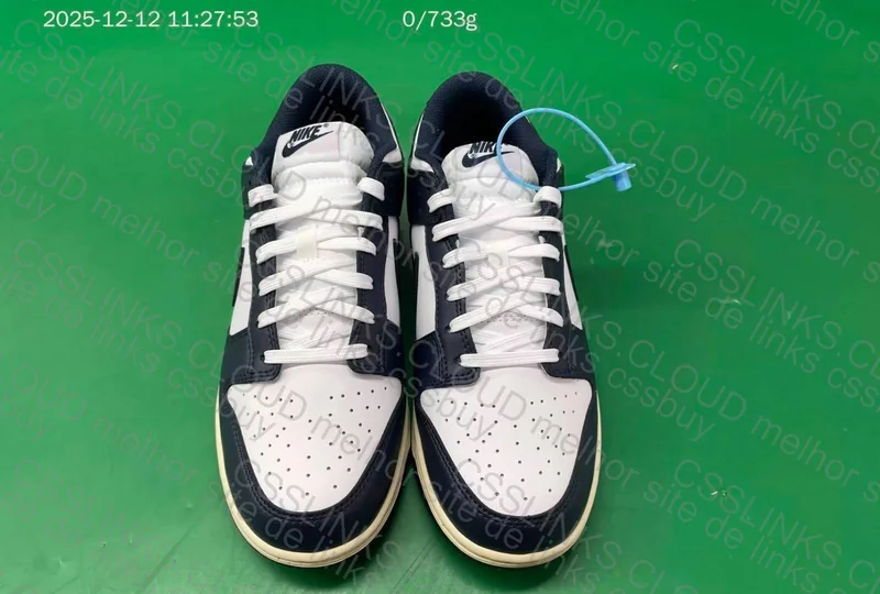 Dunk Vintage Navy 6